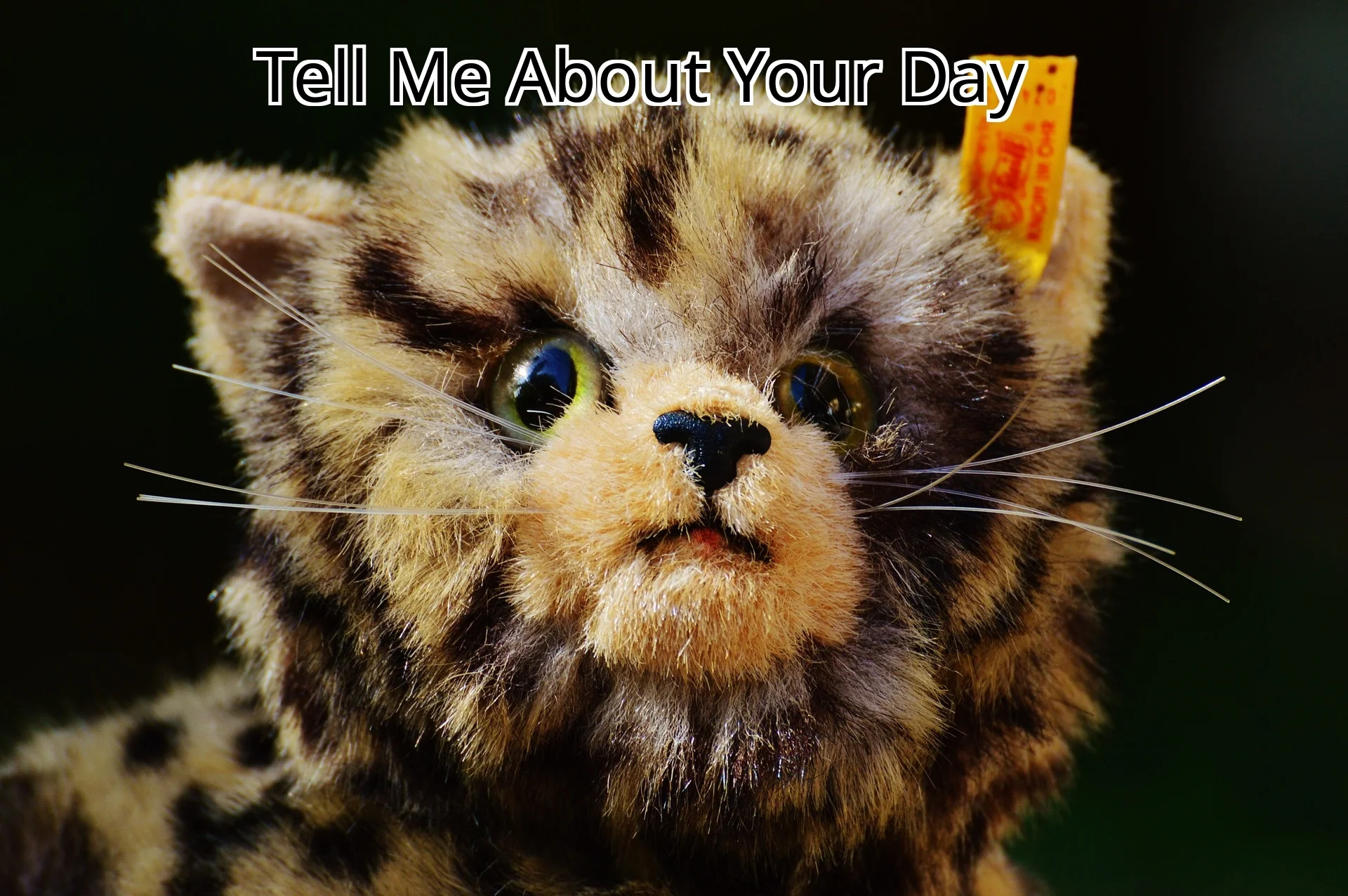Tell Me About Your Day (itch)