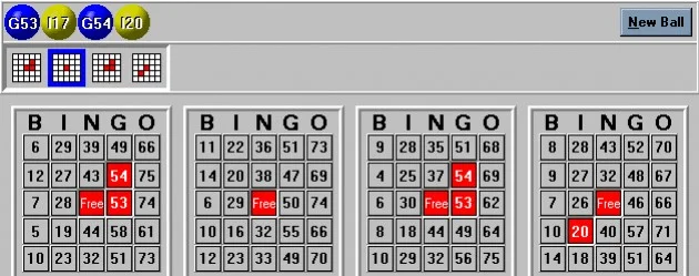 Expert Bingo Expert Bingo