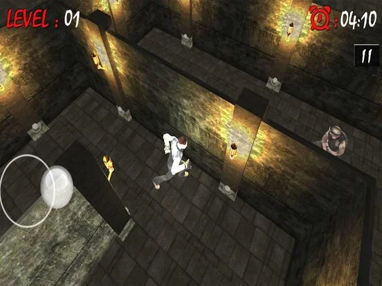 Maze Runner Brain Puzzle Maze Runner Brain Puzzle