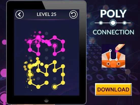 Poly Connection Poly Connection