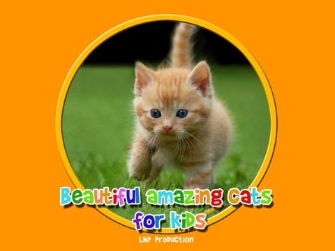 beautiful amazing cats for kids free beautiful amazing cats for kids free