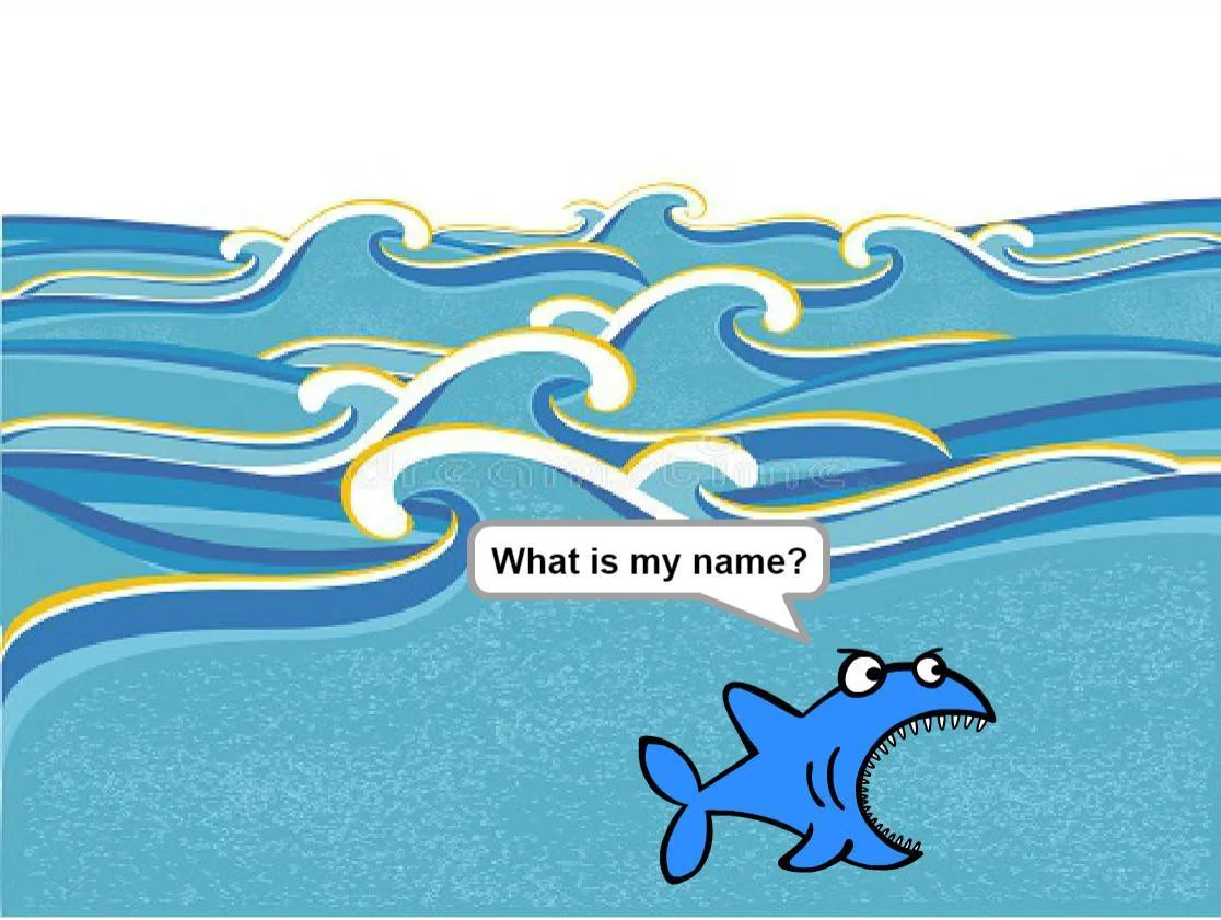 What is my name? (itch) What is my name? (itch)