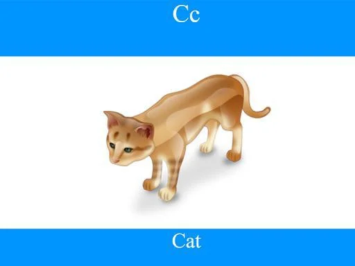 ABC Flash Cards ABC Flash Cards