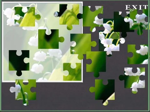 A Flower Puzzle Game A Flower Puzzle Game