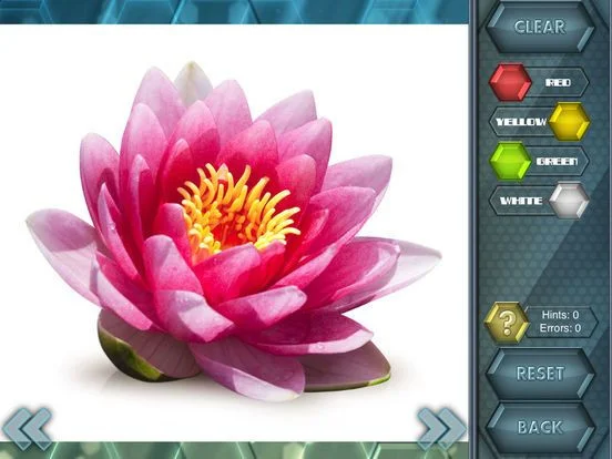HexLogic - Flowers