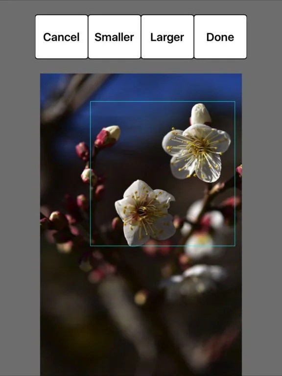 RPP - RollPhotoPuzzle RPP - RollPhotoPuzzle