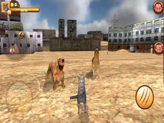 Homeless Cat Simulator Homeless Cat Simulator