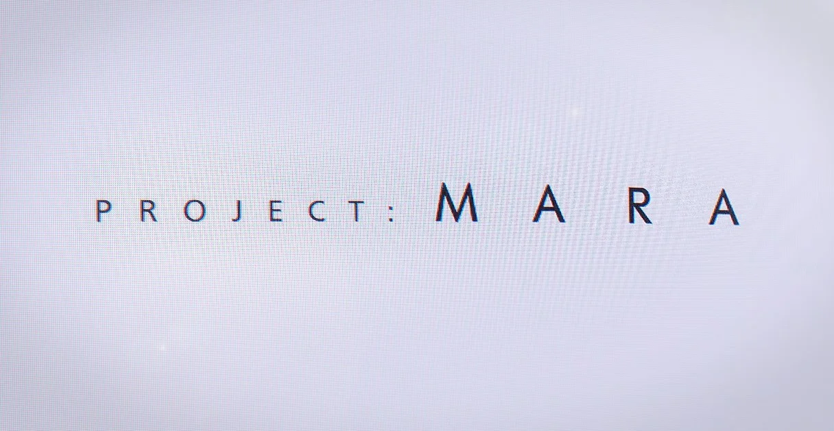 Project: MARA