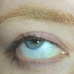 Hall of Eyeballs (itch)