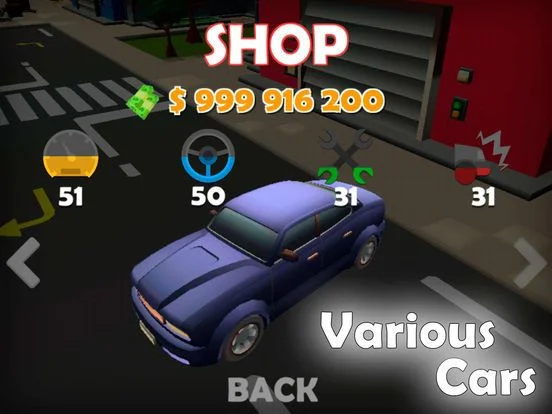 Crazy Car Chase