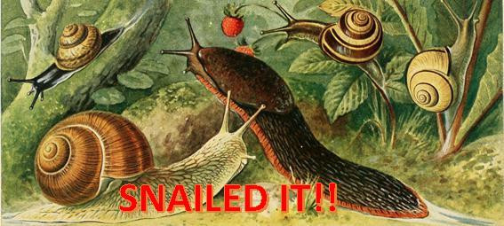 Snailed it! (itch) Snailed it! (itch)