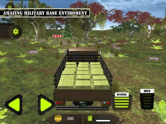 Army Cargo Hill Mission