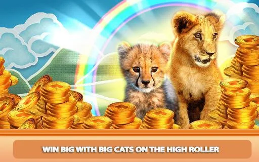 Casino Kitty Free Slot Machine Casino Kitty Free Slot Machine