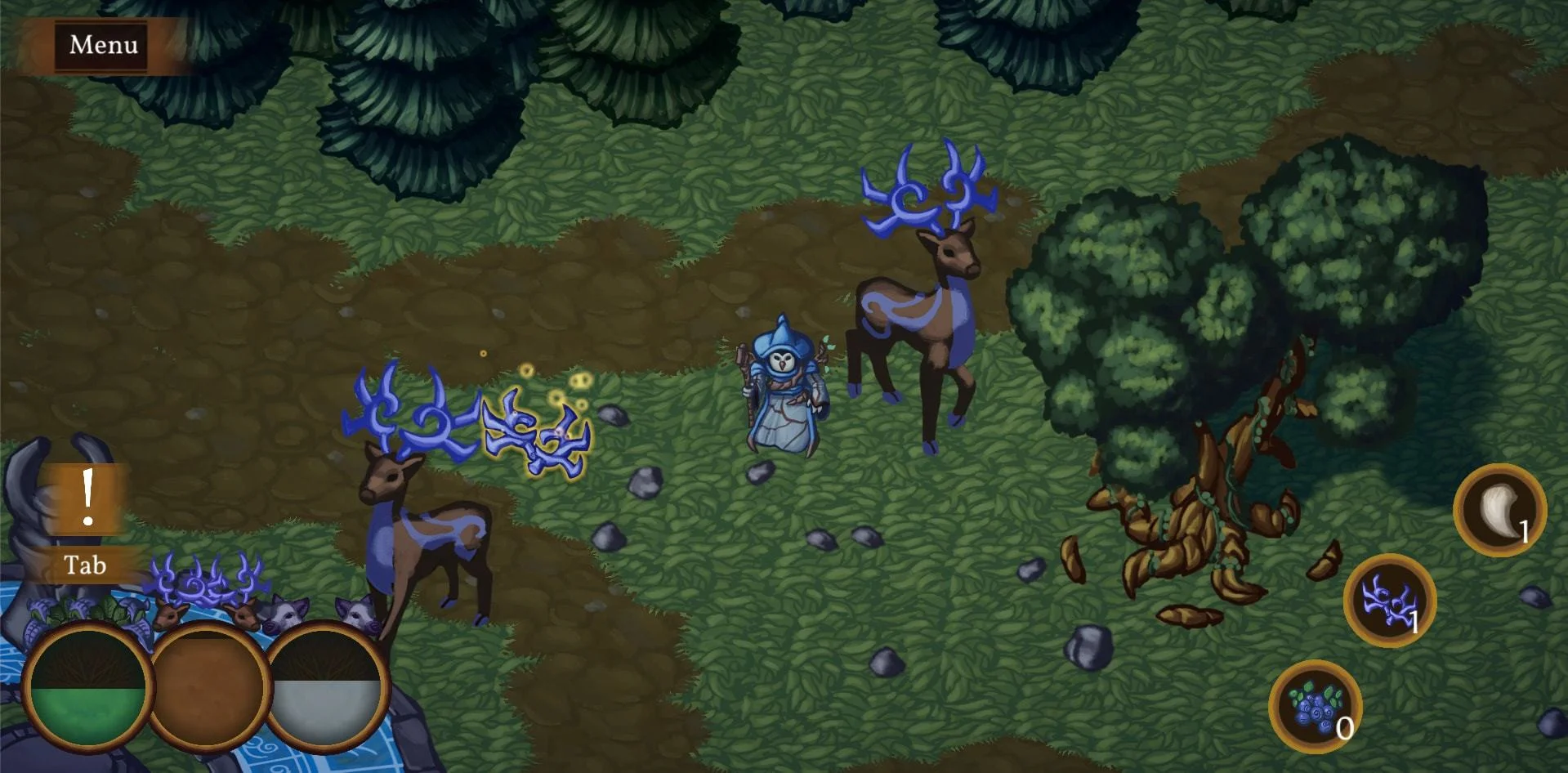 Witch of the Woods