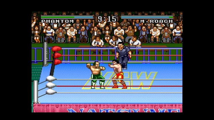 Natsume Championship Wrestling Natsume Championship Wrestling