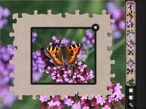 Jigsaw Puzzles: 9000+ Jigsaw Puzzles: 9000+