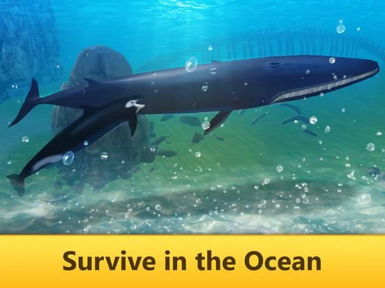 Ocean Whale Simulator: Animal Quest 3D Ocean Whale Simulator: Animal Quest 3D