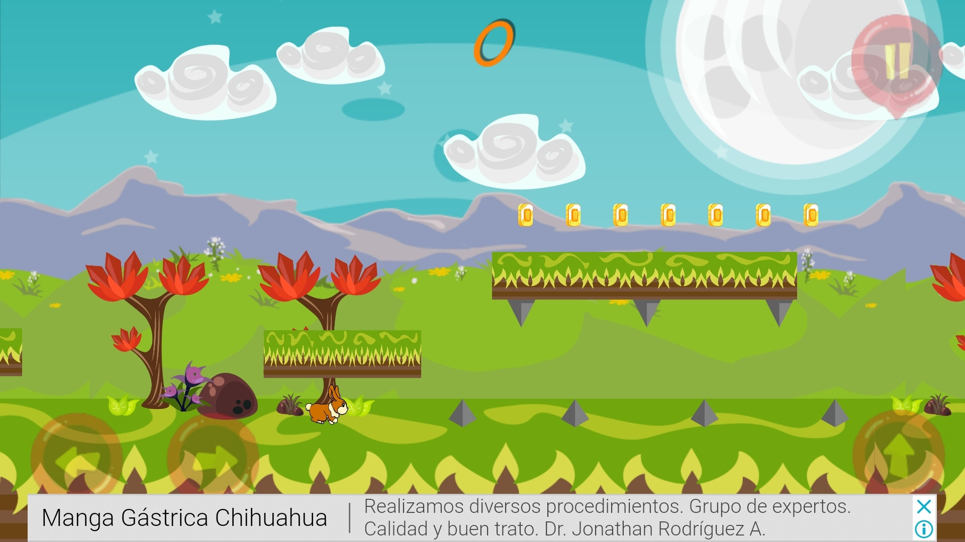 Rabbit Adventure (itch)
