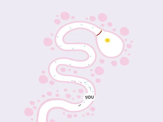 Sperm's Trip － Race & Create New Life!