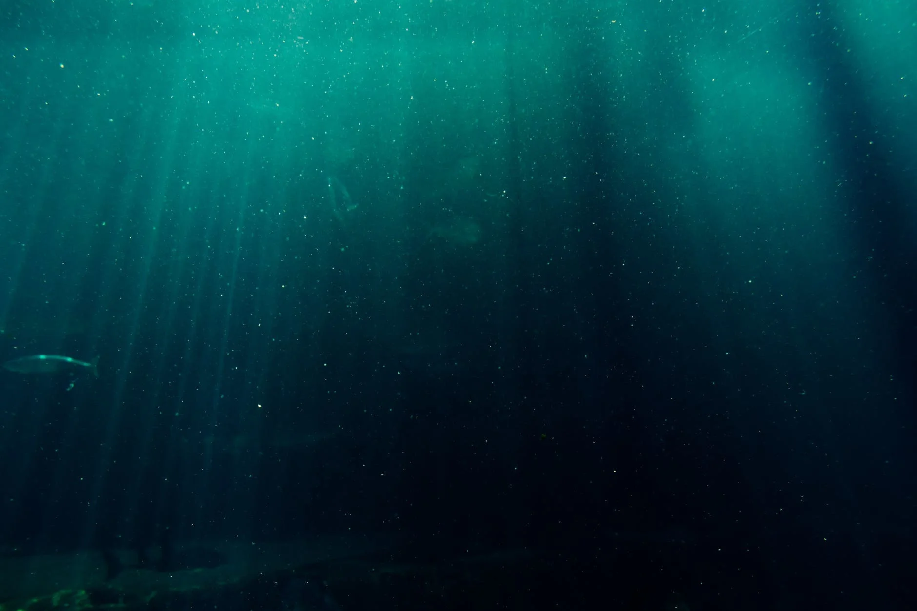 Deepsea Dive (itch) Deepsea Dive (itch)
