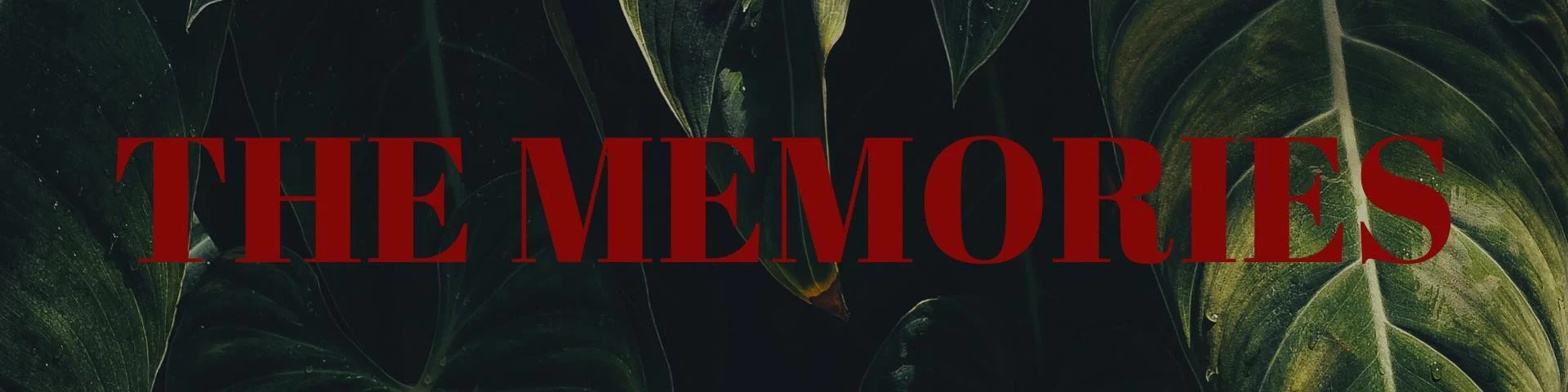 Статьи по The Memories (itch)