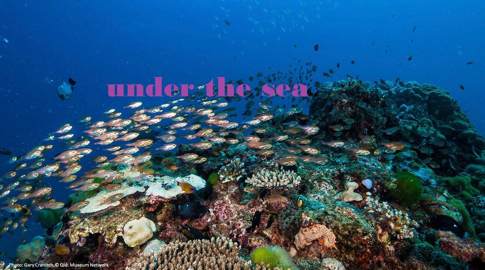 Under The Sea (Maker School) (itch) Under The Sea (Maker School) (itch)