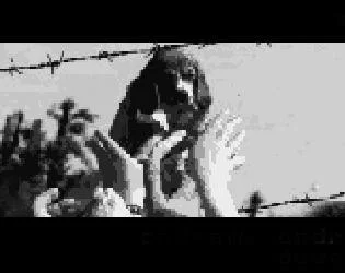 Save Beagle (itch) Save Beagle (itch)