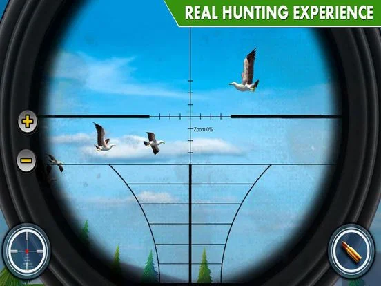 Shot Bird Hunting Experiennce Shot Bird Hunting Experiennce