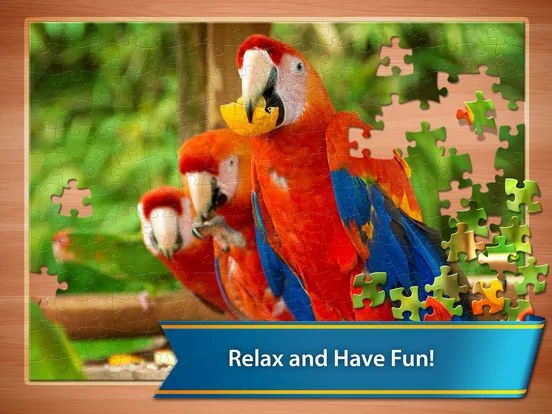 Jigsaw Puzzle Club Jigsaw Puzzle Club