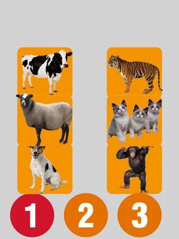 Several Animal Sounds Several Animal Sounds
