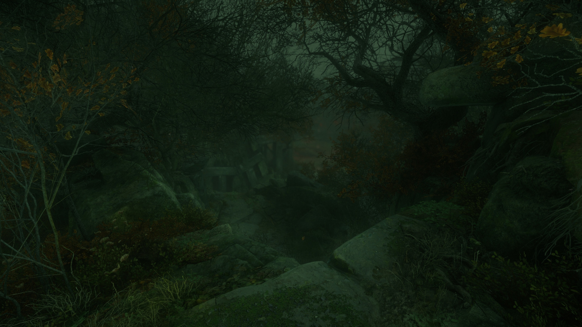 The Cursed Forest (itch)