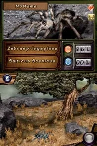 Discovery Kids Spider Quest Discovery Kids Spider Quest