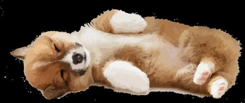 Corgi Clicker (itch) Corgi Clicker (itch)