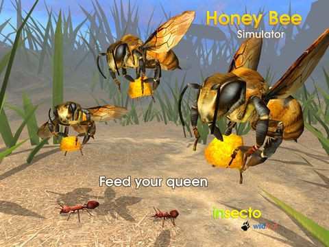 Honey Bee Simulator