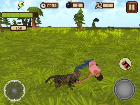 A Catty Cat World A Catty Cat World