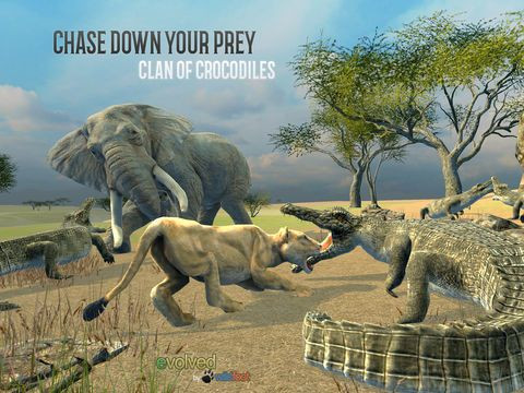Clan of Crocodiles Clan of Crocodiles