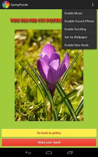 Новости о Spring Puzzle Free