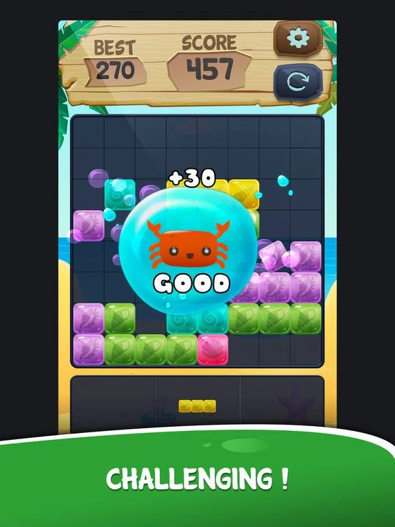 Block Puzzle Blast* Block Puzzle Blast*