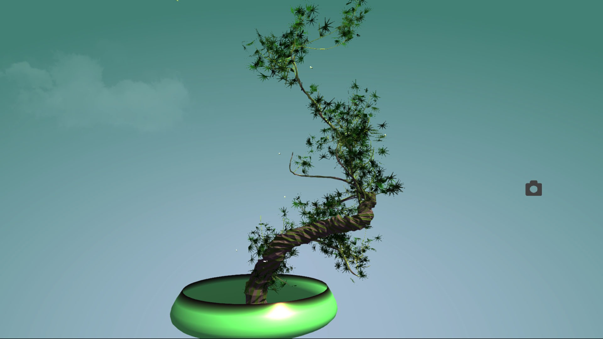 Tree.Bonsai Tree.Bonsai
