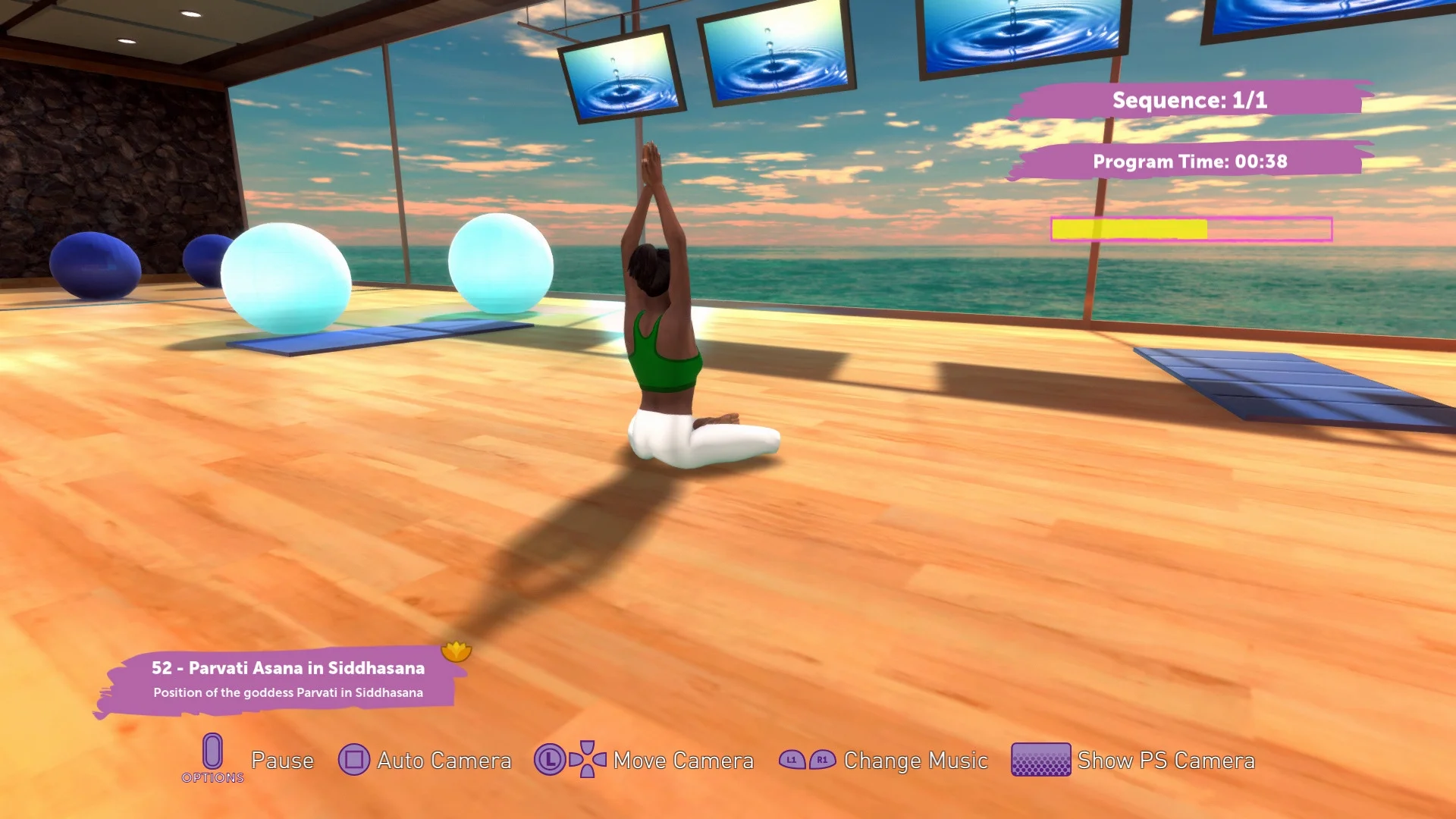 YOGA MASTER