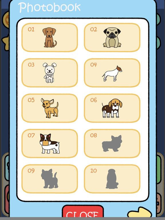 Dog Condo