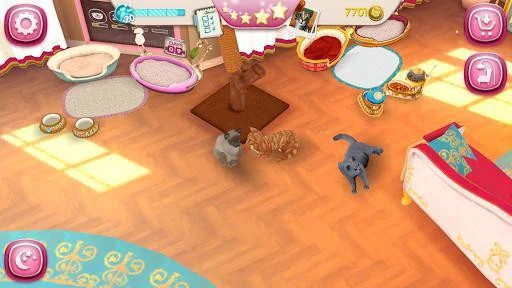 CatHotel - Hotel for cute cats CatHotel - Hotel for cute cats