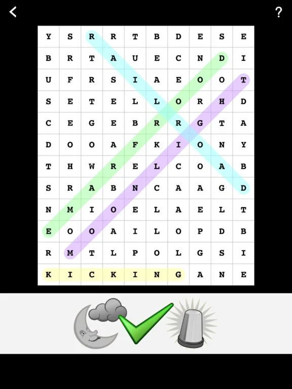 WordSearch Picture Puzzles