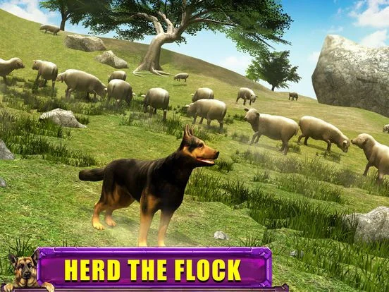Shepherd Dog Simulator 3D Shepherd Dog Simulator 3D