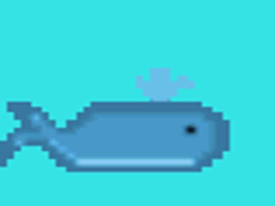 Annoying Whale Annoying Whale