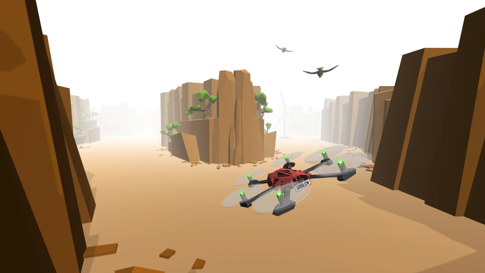 Drone Racer: Canyons
