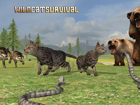 Wild Cat Survival Wild Cat Survival