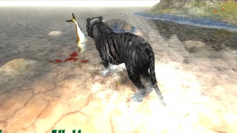 Life of Black Tiger Life of Black Tiger