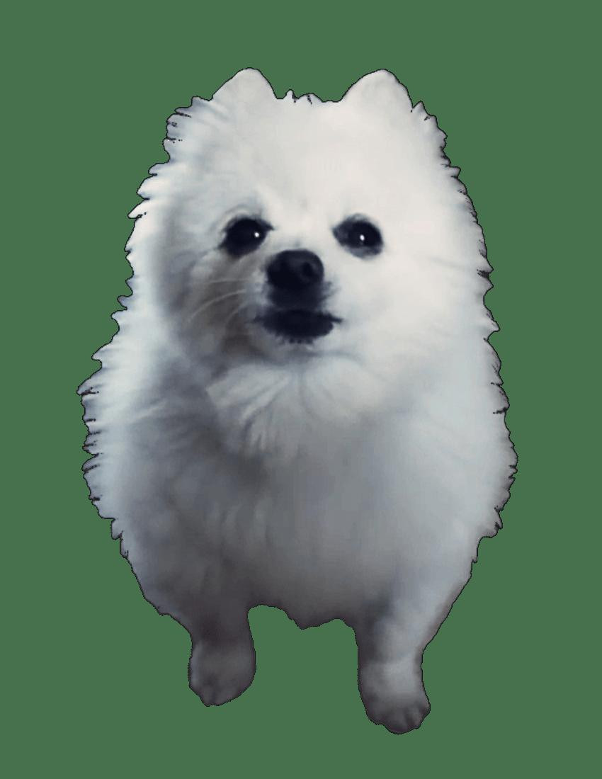 Exploration (itch) (tNiiick) Exploration (itch) (tNiiick)