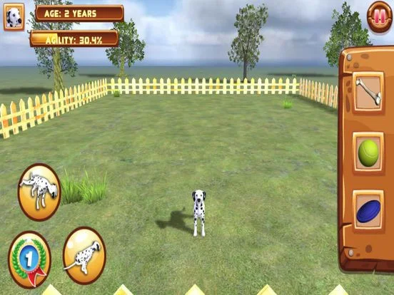 Play with your Dog: Dalmatian Play with your Dog: Dalmatian